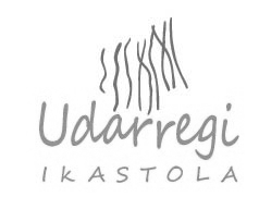 Udarregi-Ikastola g